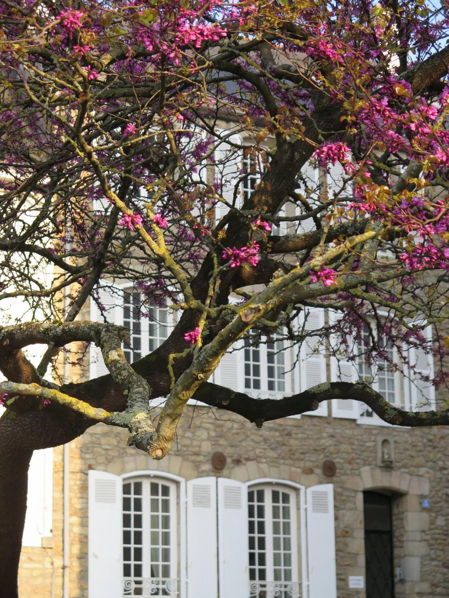 Gasthof La Garenne 2*